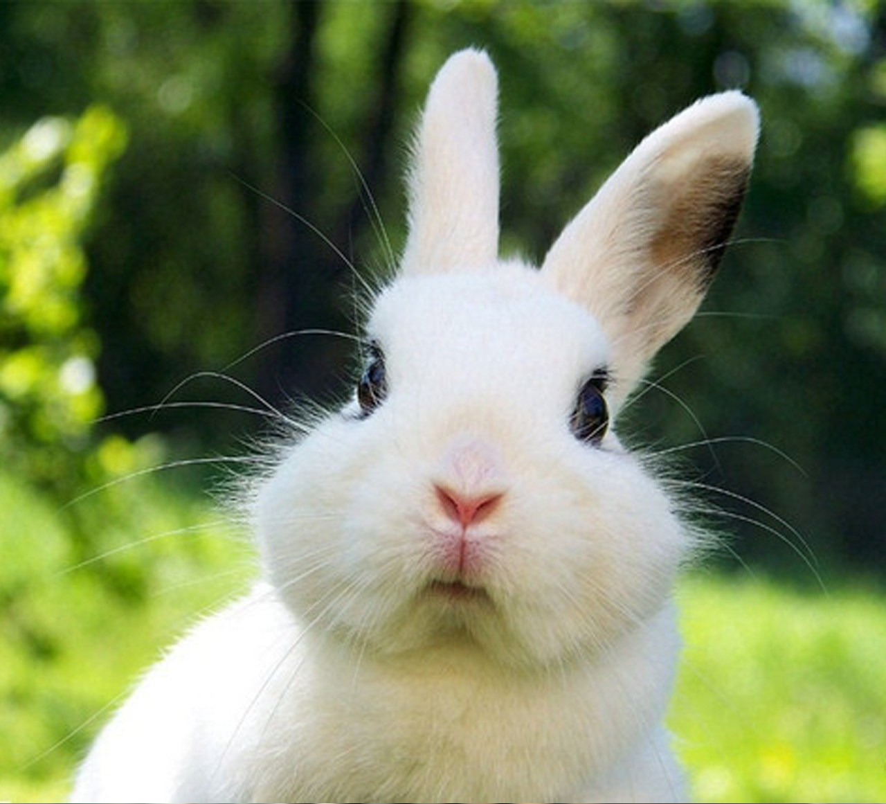 GPRS氨氣傳感器應(yīng)用